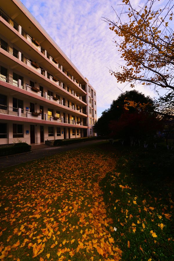 通知精神,徐泾中学工会组织开展2016年教工书法美术摄影作品展选拔赛